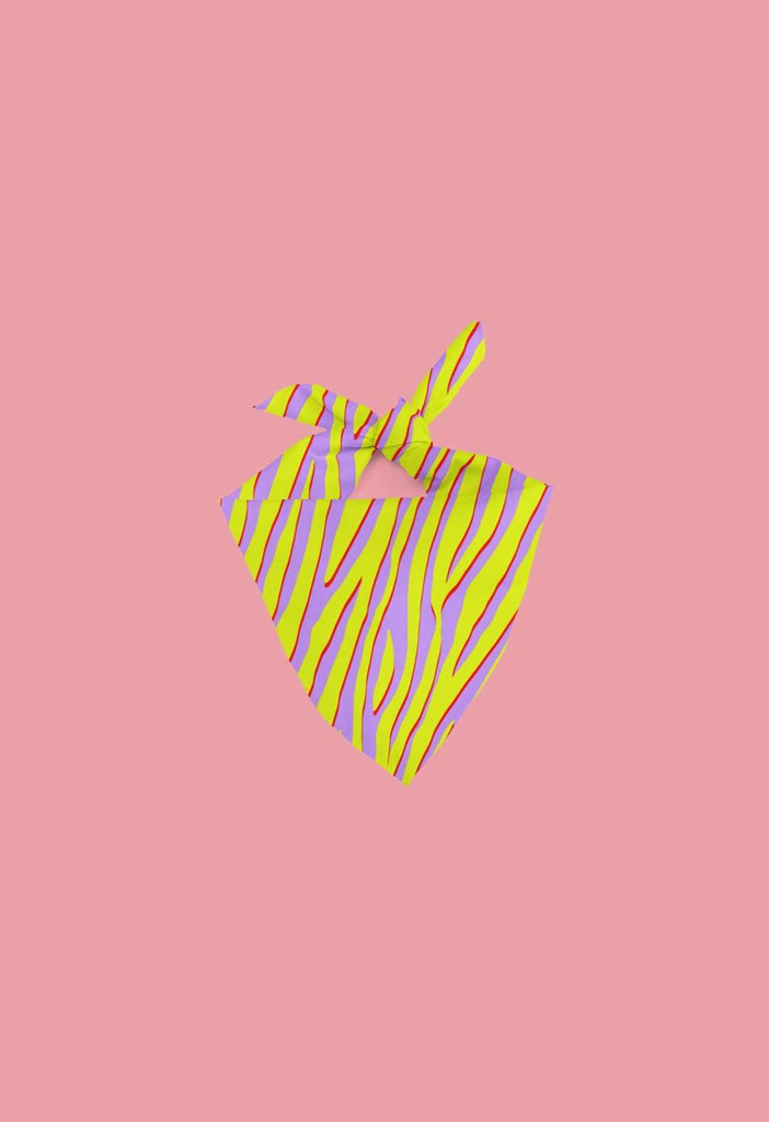 Citrus Zebra Crepe Bandana - HAYLEY ELSAESSER 